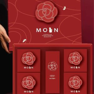 Hộp bánh trung thu Đào Đơn