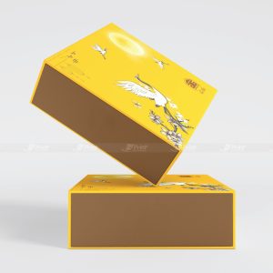 Hộp đựng bánh trung thu Đỗ Thế Gia