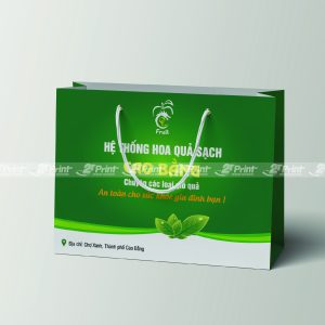 Túi giấy đựng hoa quả Cao Bằng