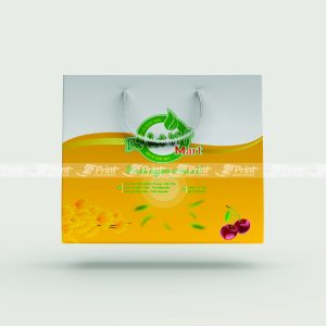 Túi giấy đựng hoa quả Đà Lạt VIP