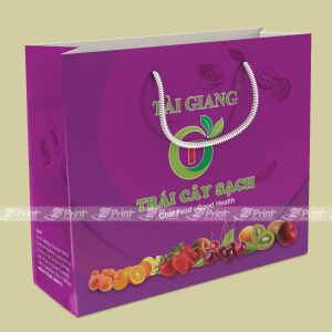 Túi giấy đựng hoa quả Tài Giang