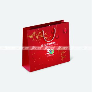 Túi giấy thiết kế B-braun