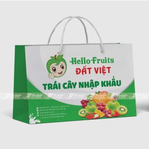 Túi giấy đựng hoa quả Đất Việt