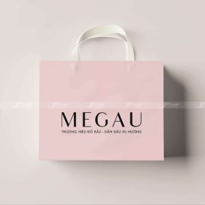 Túi giấy đựng quần áo