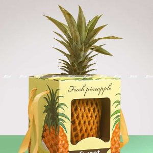 Alternative view of Hộp carton đựng dứa