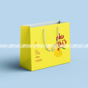 Túi giấy đựng hoa quả Chu Thị