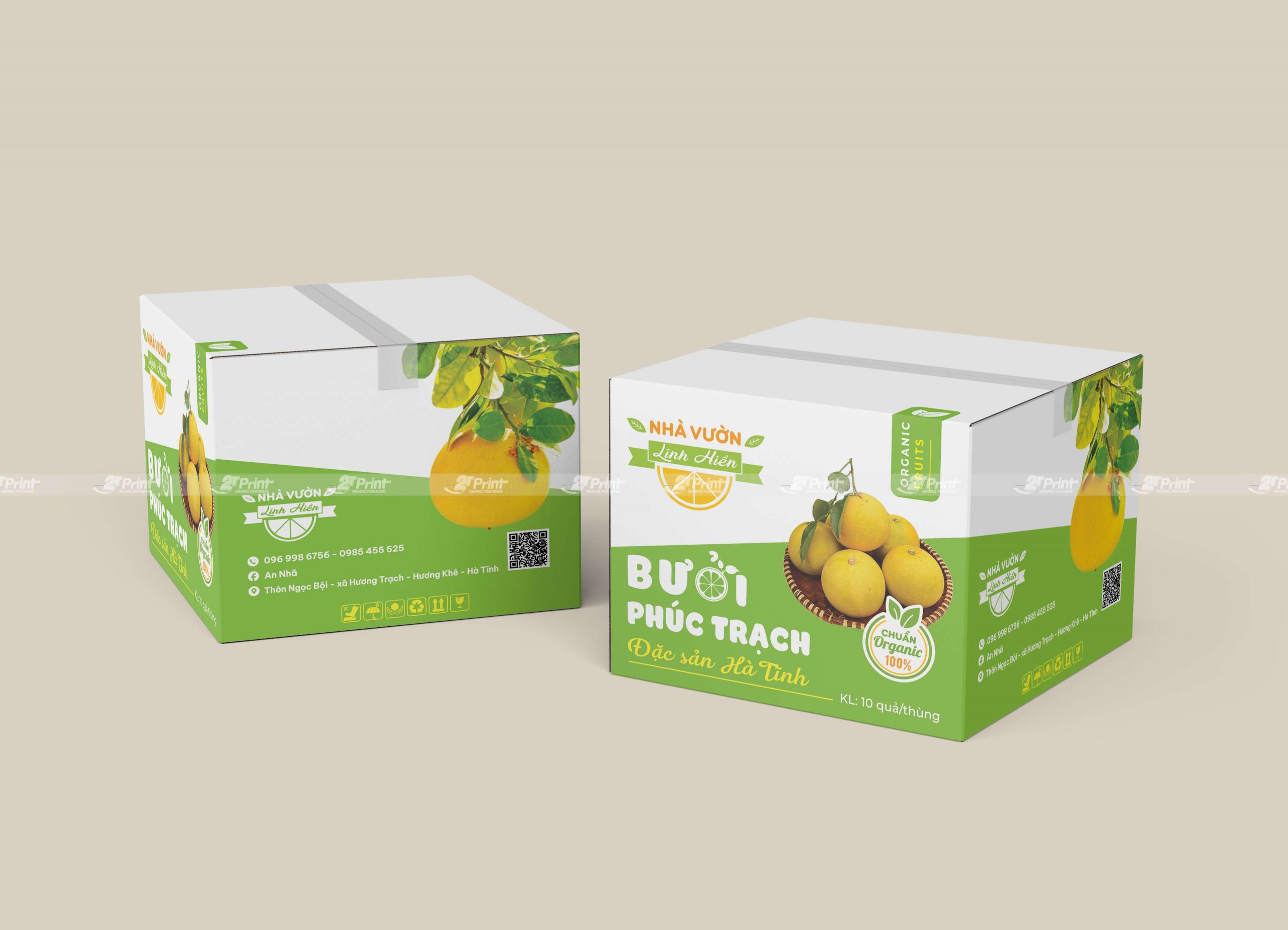 Thùng carton đựng bưởi Phúc Trạch