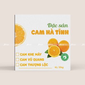 Thùng carton đựng cam An Nhã Fruits