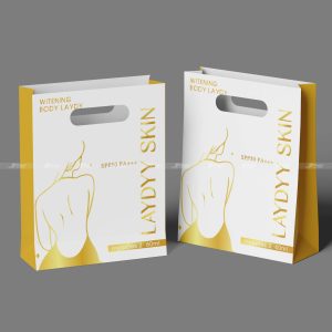 Túi giấy đựng mỹ phẩm Lady Skin