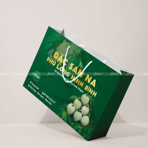 Túi giấy đựng na Phú Long Ninh Bình
