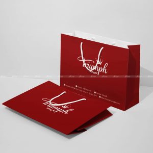 Túi giấy đựng quần áo Triumph