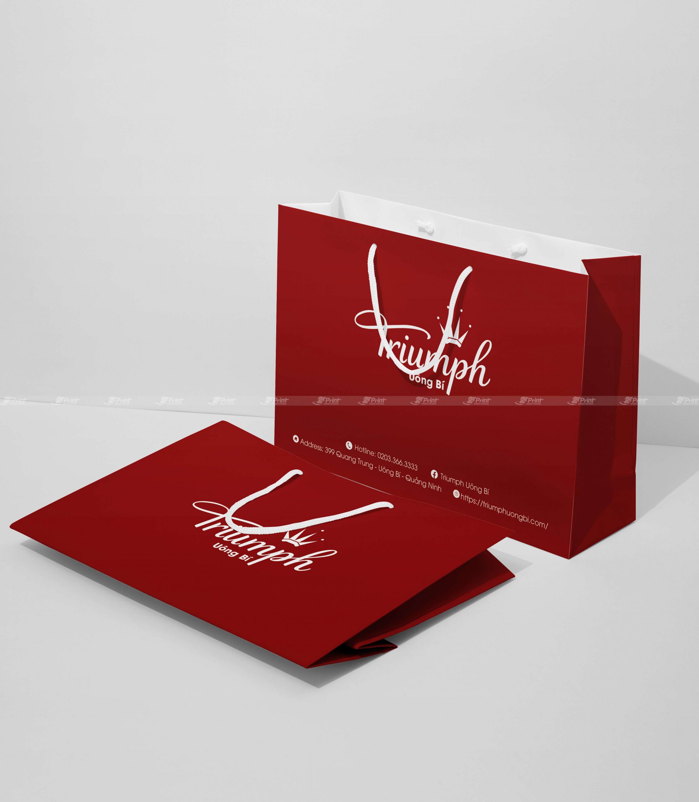 Túi giấy đựng quần áo Triumph