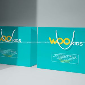 Túi giấy đựng quần áo Woo Kids